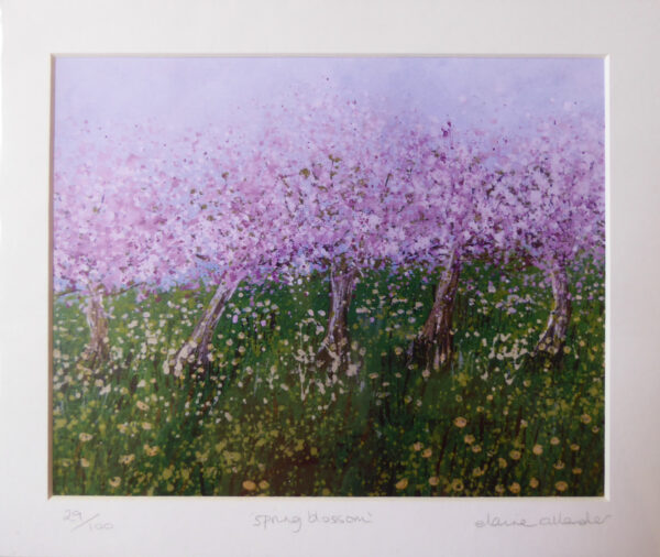 Spring Blossom
